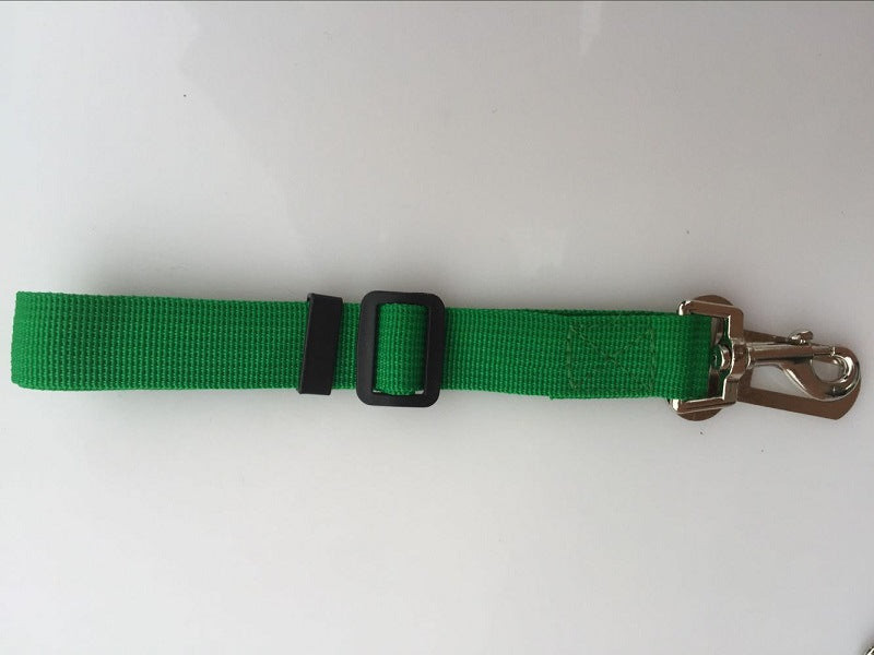 Dog Leads | Heavy Duty Dog Leash –  Reflective Nylon, Padded Handle, No-Pull Training for Medium & Large Dogs