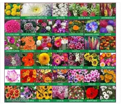 16 Variety Flower Seeds Combo Pack with Instruction Manual – Grow Beautiful Flowers at Home